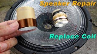 Speaker repair | Replace The Speaker Voice Coil