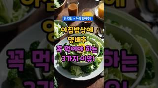 아침밥상에 양배추 꼭 먹어야 하는 이유 3가지 #건강정보 #양배추 #아침밥