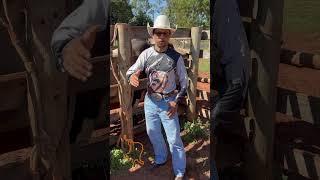 We have to maintain the cowboy tradition. #bullfighting #fg8training