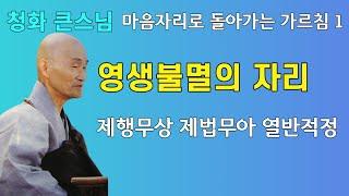 영생불멸의 자리 제행무상, 제법무아, 열반적정  | 청화스님 법문집 생명의 고향 마음자리로 돌아가는 가르침1