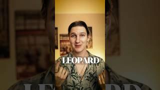 do you wear #leopard clothes?  #fashion #style #bold #boldfashion #boldact #stylish #english