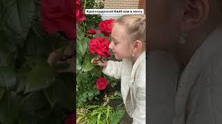 Краснодар май 2025 #краснодар