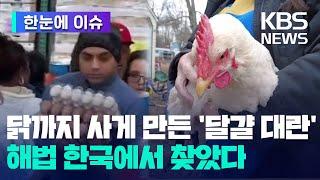 [한눈에 이슈] 닭까지 사게 만든 '달걀 대란'...해법 한국에서 찾았다 / KBS 2025.03.11.