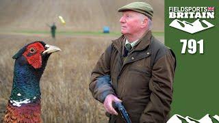 Fieldsports Britain – Golf course pheasants