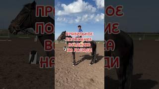 ПРАВИЛЬНОЕ ПОЛОЖЕНИЕ ВСАДНИКА НА ЛОШАДИ #правильноеположениевсадника #посадканалошади #верховаяезда