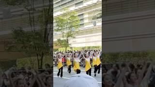 #どんたく#博多どんたく#祭り #fukuokajapan #fypシ゚viral