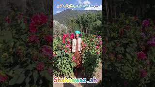 #kashmirinaat .#viralnaat #naat .hafiz shahnawaz ah