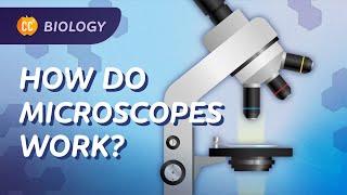 Microscopes: How We See What We Can't See: Crash Course Biology #22