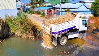 FIRST Start New Project Landfill Remove Pond Clear Grass !!! Bulldozer D20A Push Stone ,Truck 5Ton
