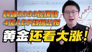 欧盟宣布8000亿武装计划！4星ADP就业数据公布，黄金即将大涨！