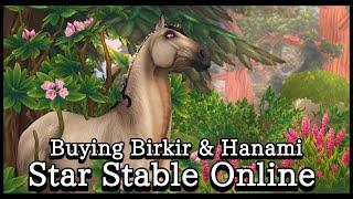 [Star Stable Online] Buying Birkir & Hanami! New Tree Horses! Showcase & Honest Review! [SSO]