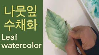 Botanical Art Basic_Leaf Watercolor