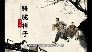 全本有声书《骆驼祥子》#有声书#听书#有声小说