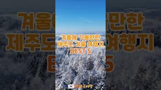 겨울에 가볼만한 제주도 겨울 여행지 BEST 5 | 1분한국여행 , 여행지추천 , 국내여행