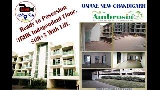 OMAXE Ambrosia Floors S+3 with Lift New Chandigarh, 3BHK Independent Sample Flat | Video-15