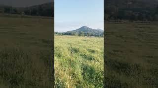Дисциплина #Мудрость #успех дисциплина#цитата #