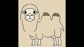 쌍봉낙타 ( Bactrian camel ) 친구 그리기 #shorts