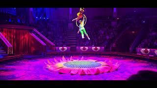 Как не сорвались? Московский цирк Никулина🫣How did you not lose it? Nikulin Moscow #circus #show