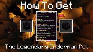 How to Get the Legendary Enderman Pet | Hypixel Skyblock