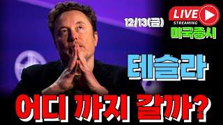 12/13 금 ( 실시간 라이브 ) 테슬라 어디 까지 갈까? I 미국주식 대응 및 전략