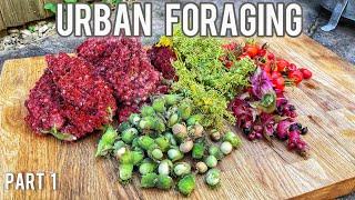 Urban Foraging