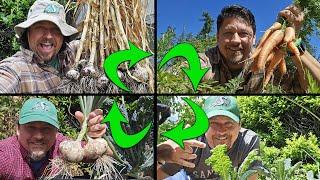 Crop Rotation Explained - Garden Quickie Episode 224