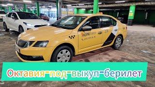 Шкода-Октавия под-выкуп берилет #САТЫЛДЫ