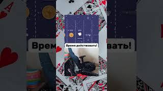 Не упусти шанс на большой выигрыш в слоте#казиноонлайн2024#играемвказинонадежды