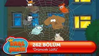 Kral Şakir 262. Bölüm - Örümcek Lütfü