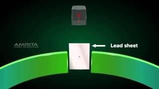 Rutherford's Model of Atoms - Class 9 Tutorial