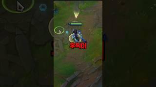 탑이 후픽을 고집하는 이유