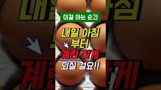 “이걸 모르고 계란 안 드셨다면 손해 보신 겁니다”