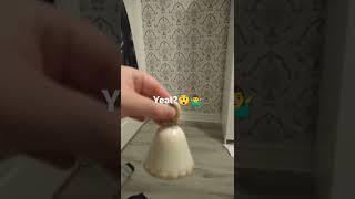Bell