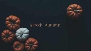 A Moody Autumn Playlist | Songs for dark academia and rainy days | Classical and Instrumental