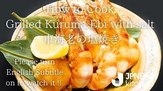 [JAPANESE EAZY COOKING] Grilled Kuruma Ebi with salt / 車海老の塩焼き