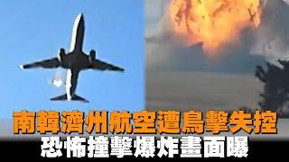 發燒新聞／南韓濟州航空遭鳥擊失控　恐怖撞擊爆炸畫面曝