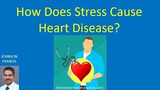 How Does Stress Cause Heart Disease?