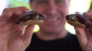 How to VLOG with Greg Wittstock and Paul Cuffaro