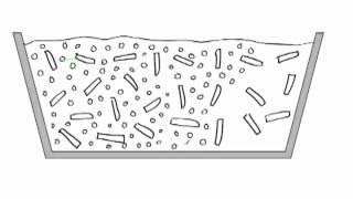 Non-Newtonian Fluids