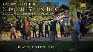 易筋經 · Yi Jin Jing (with Guided Breathing · inkl. Anleitung)