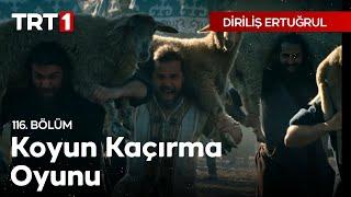 Diriliş Ertuğrul 116. Bölüm - Koyun Kaçırma Oyunu