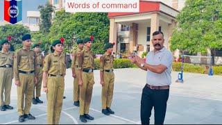 How to give words of command || ncc training 🫡 #ncc #trending #video #drill #viralvideo #videos