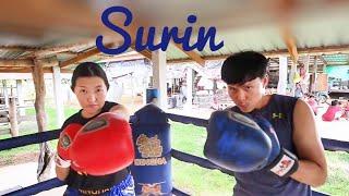  Thailand's Hidden Gem : SURIN EP. 1/2