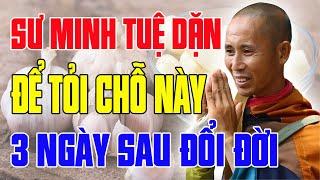 Sư MINH TUỆ Chỉ Rõ Đặt Tỏi Chỗ Này Sau 3 Ngày Giàu Lên Trông Thấy