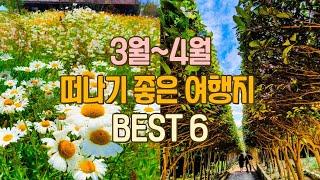 [봄여행지] 3~4월 가볼만한 국내 봄 여행지 BEST 6 곳을 소개 합니다. My favorite Korean spring destination. Trip to Korea