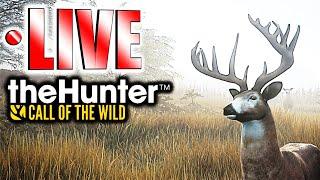 Hunting Whitetail on Layton Lakes LIVE!