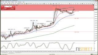 Wayne McDonell: Live Forex Strategy Session - Fundamental and Technical Analysis