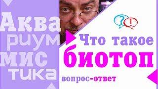 #Аквариумистика. Основные понятия. Что такое биотоп. #shorts