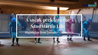 Glimpses from Life @ SandMartin | January - June 2021