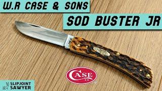 Case Sod Buster Jr Amber Bone Peach Seed Jig Pocket Knife 30092 (6137 CS)